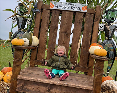 Tattershall Pumpkin Patch & Maize Maze