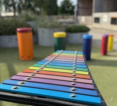 Sensory Music Area