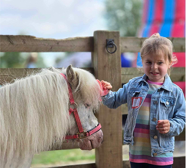 V.I.P. Animal Encounters